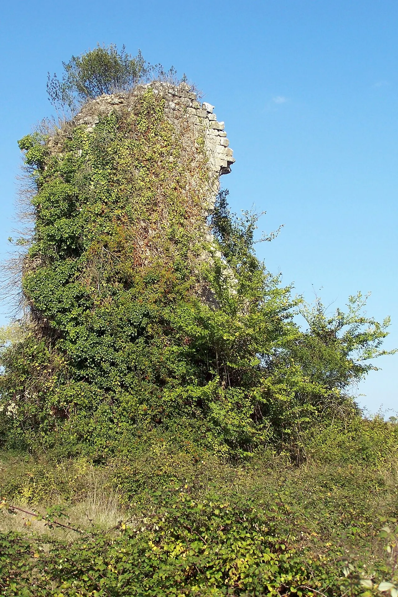 Ruines du château