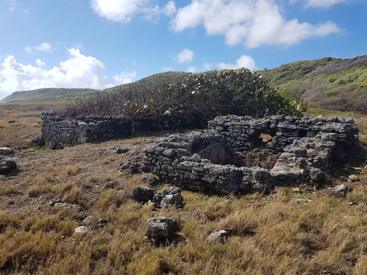 Indigoterie de « Morne-à-Boeuf »