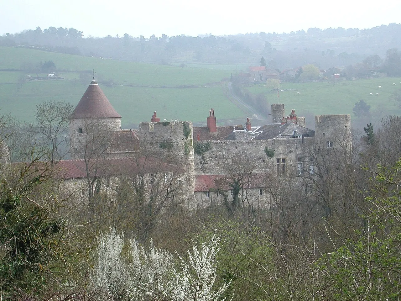 Château de Rochefort