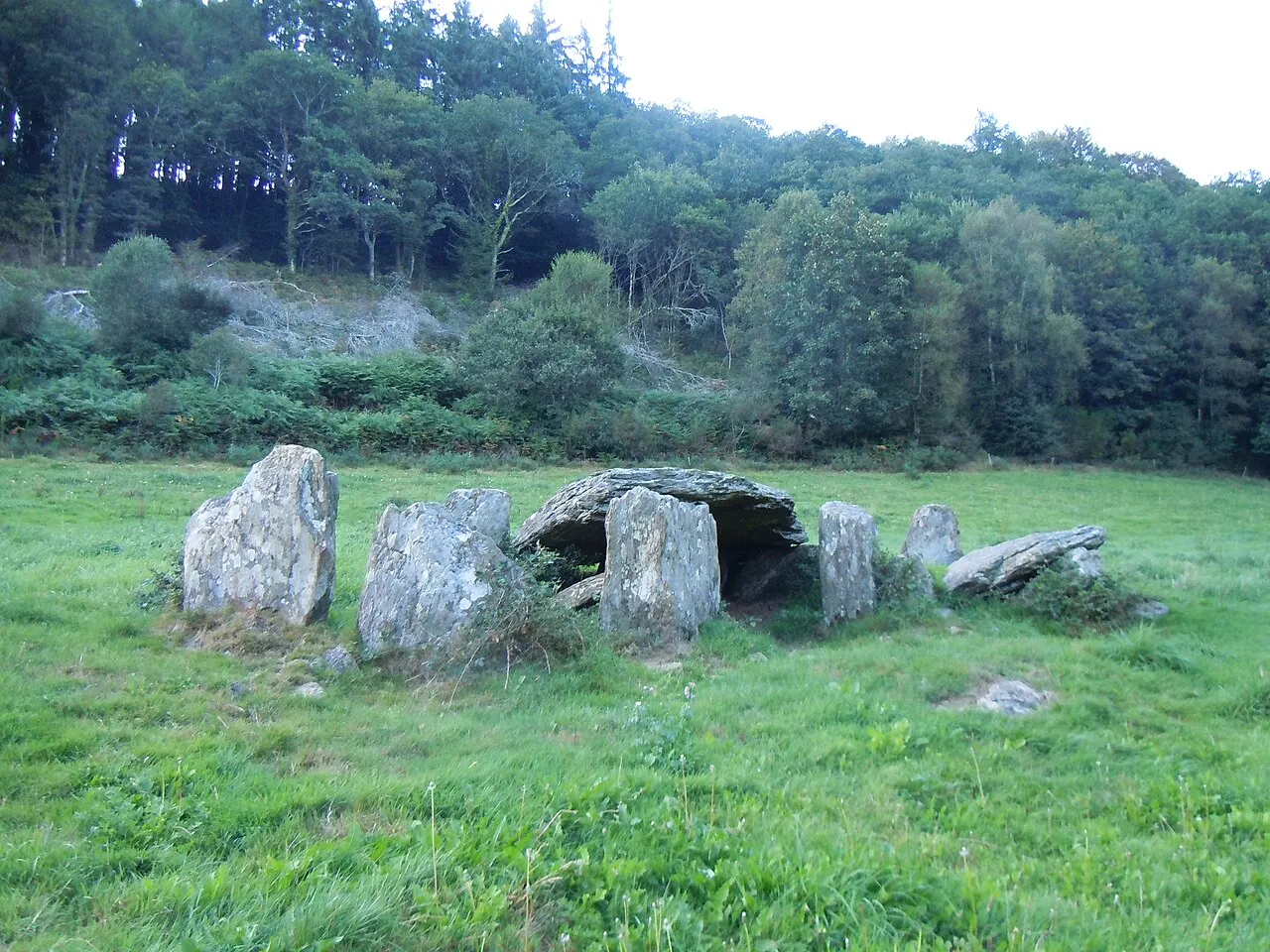 Allée couverte de Minguionnet