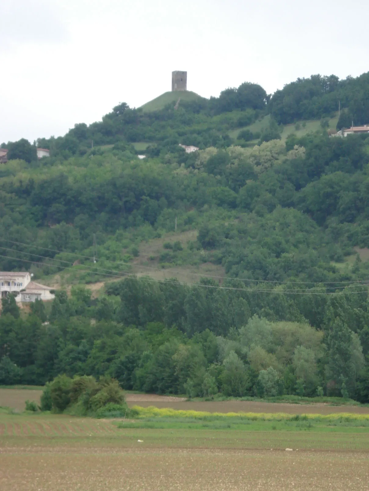 Ruines du Château d’Albon