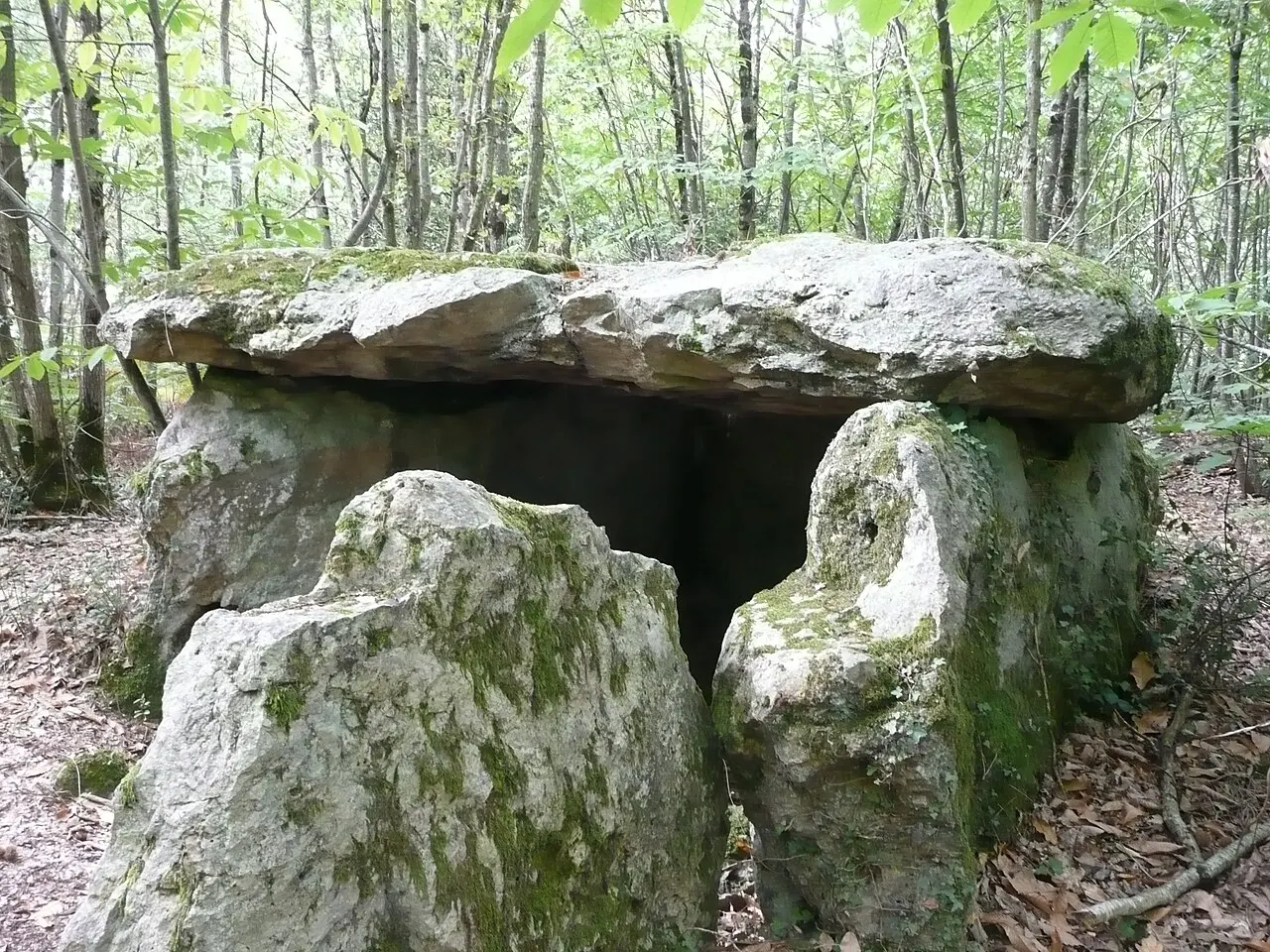 Dolmen dit la Pierre au Loup