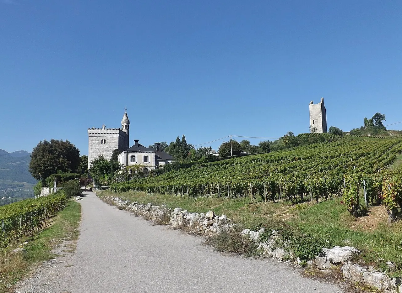 Site archéologique des Tours de Chignin
