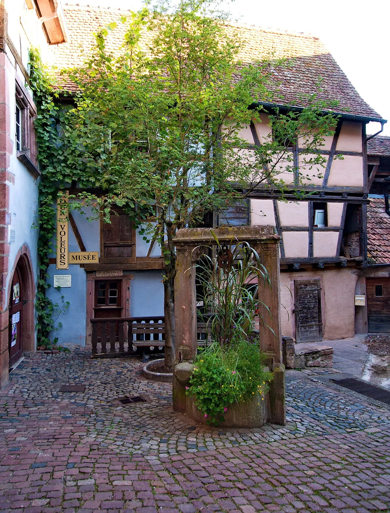 Maison