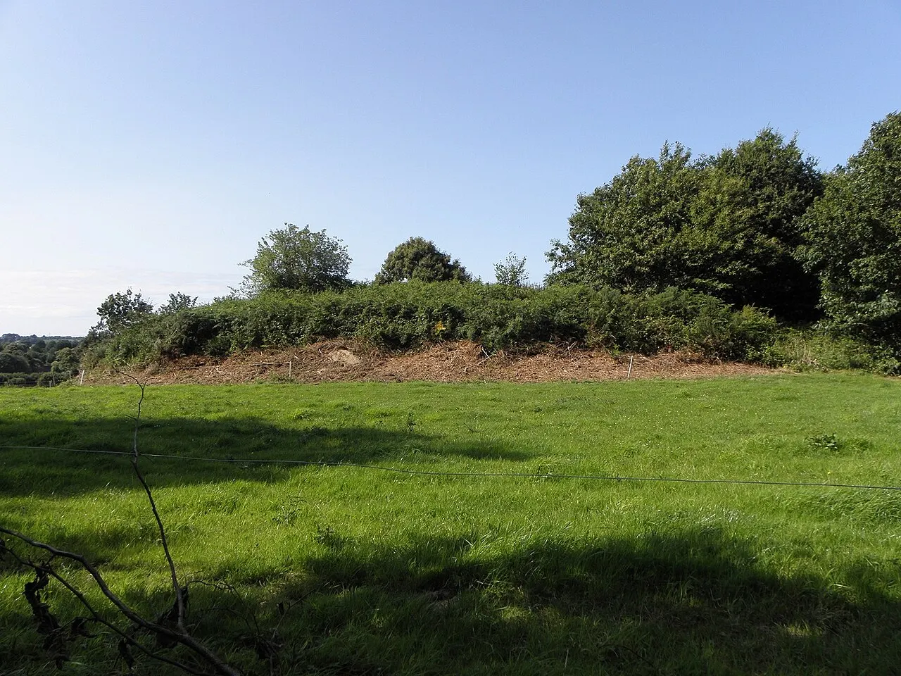 Tumulus