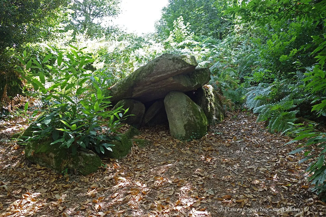 Allée couverte dite de Coguer Neguinan (Palastre)