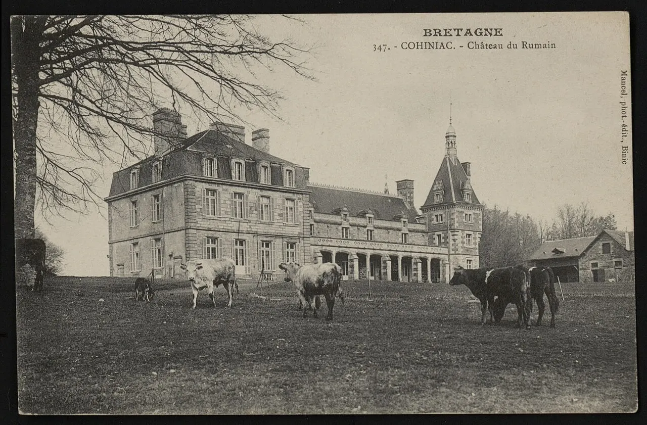 Cohiniac