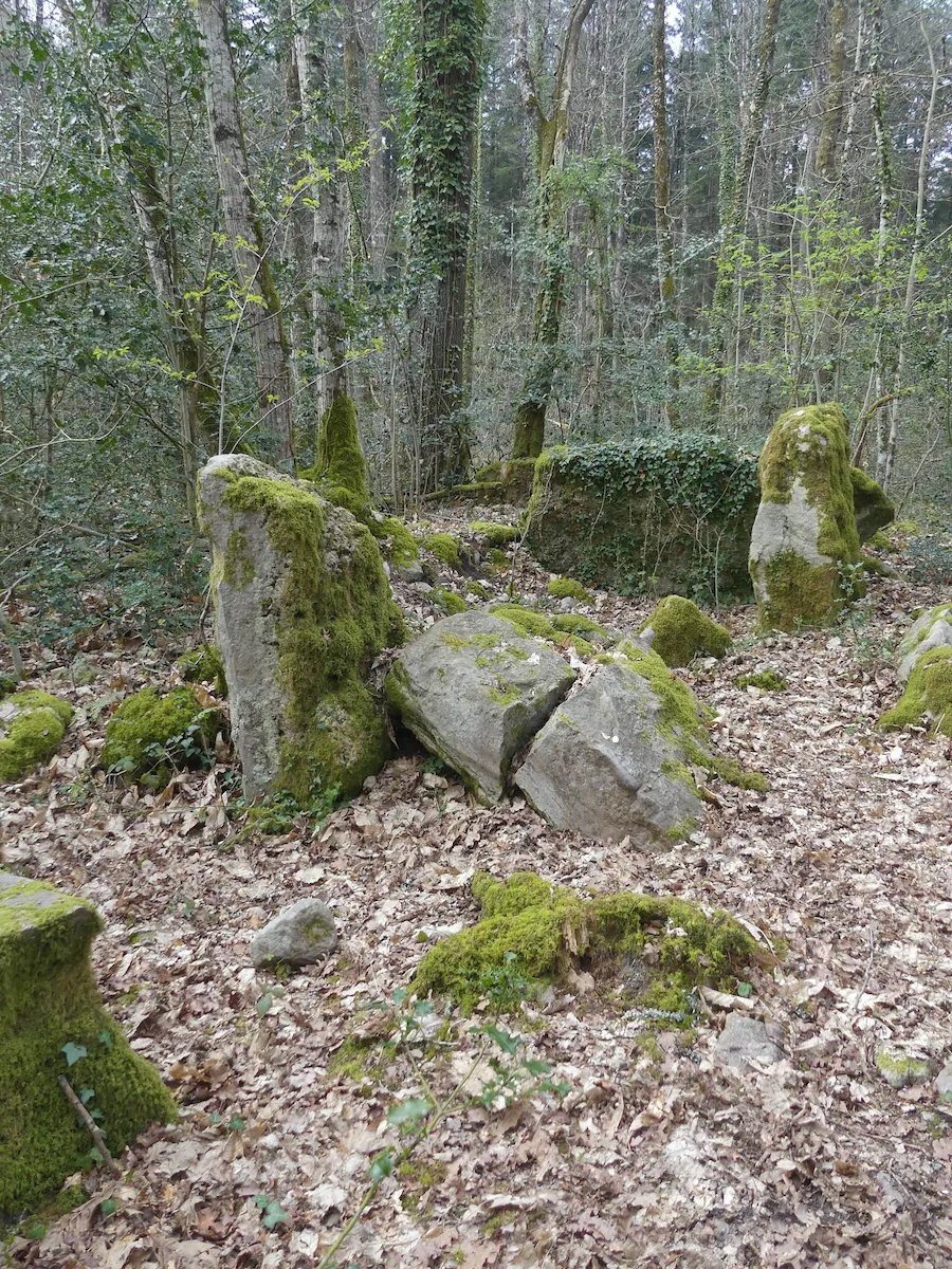 Dolmen dit Des Pierres Jumelles