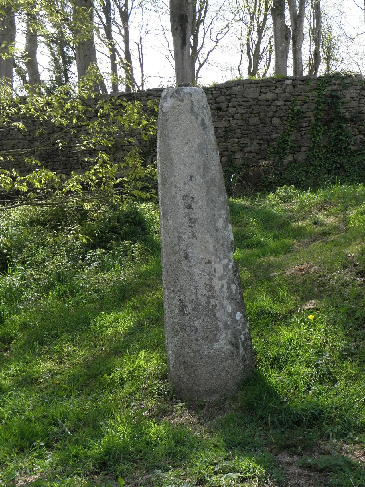 Stèle protohistorique