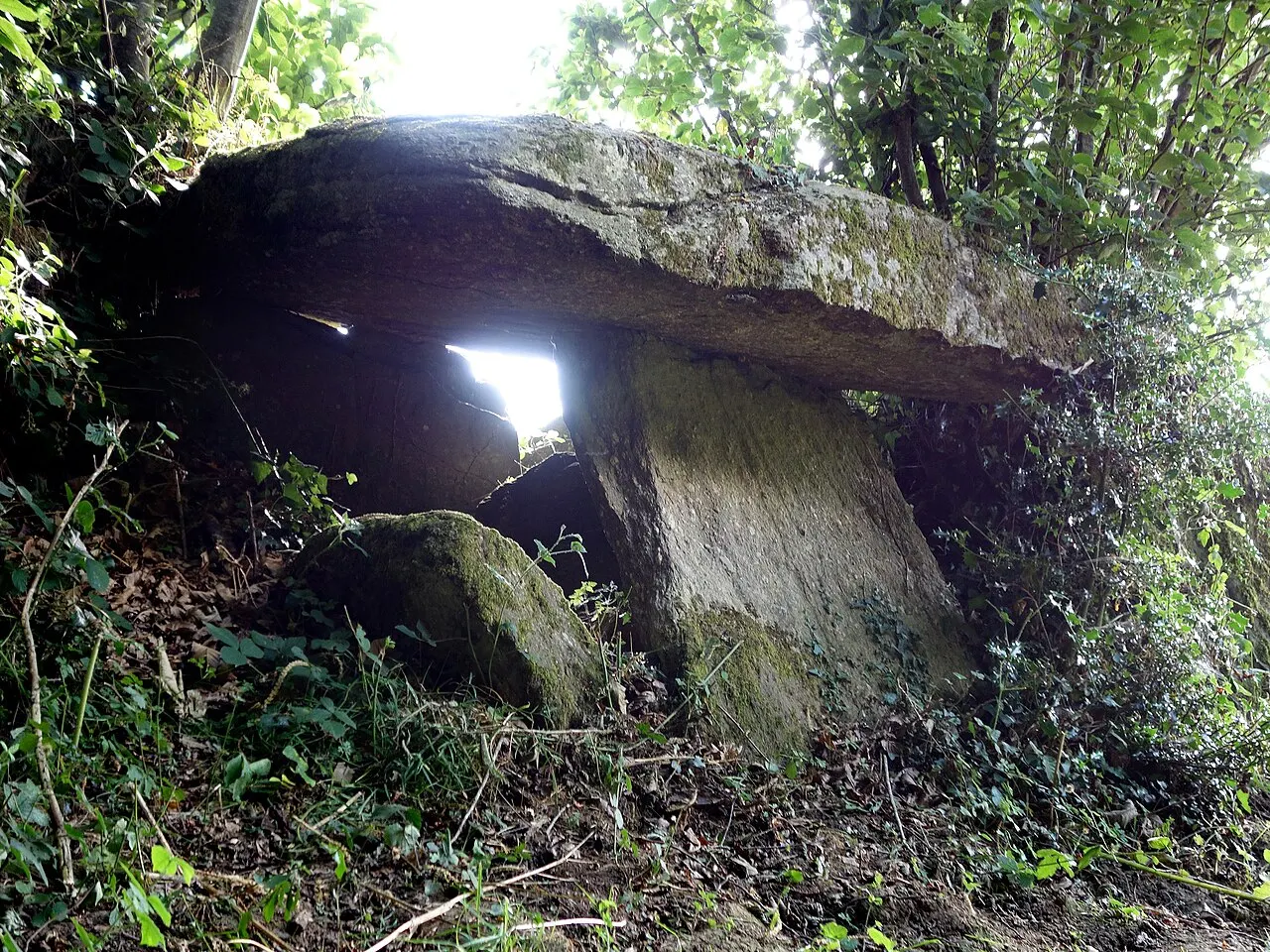 Allée couverte