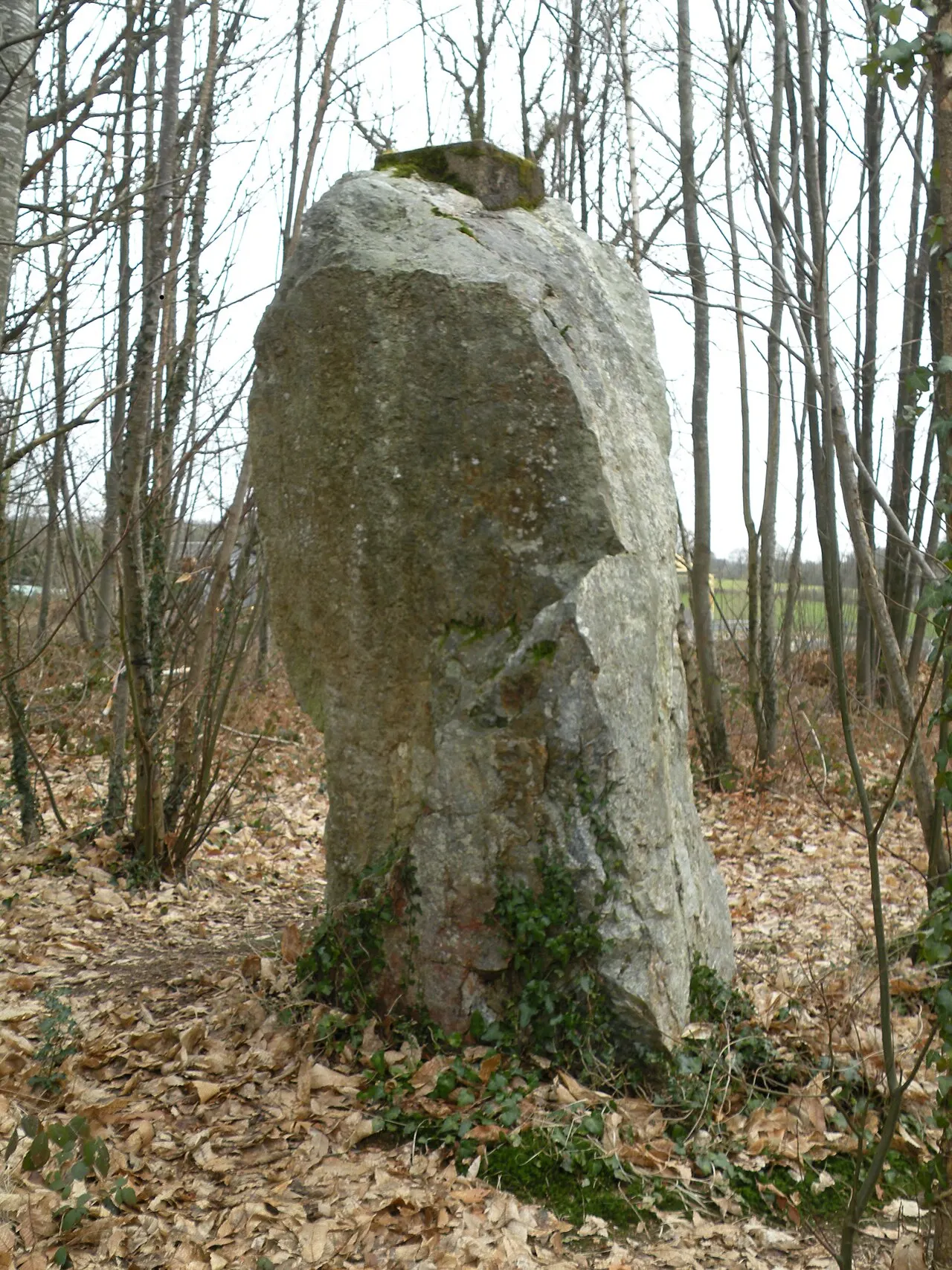 Menhir de la Pierre qui Tourne