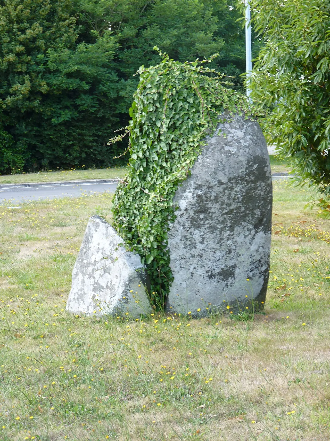 Menhir dit Le Sabot
