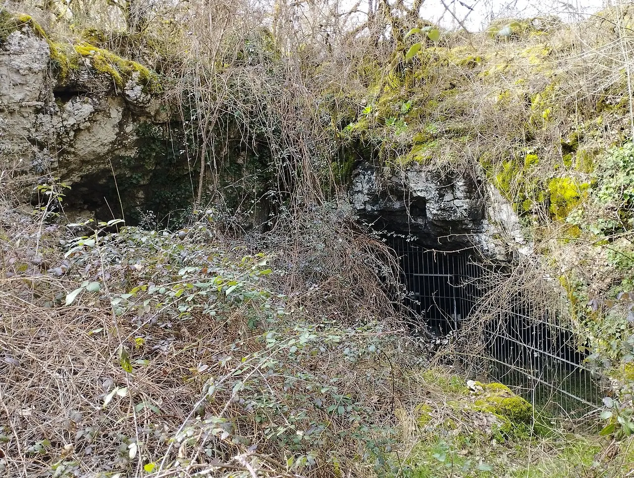 Grotte préhistorique à décorations pariétales, dite de Roucadou