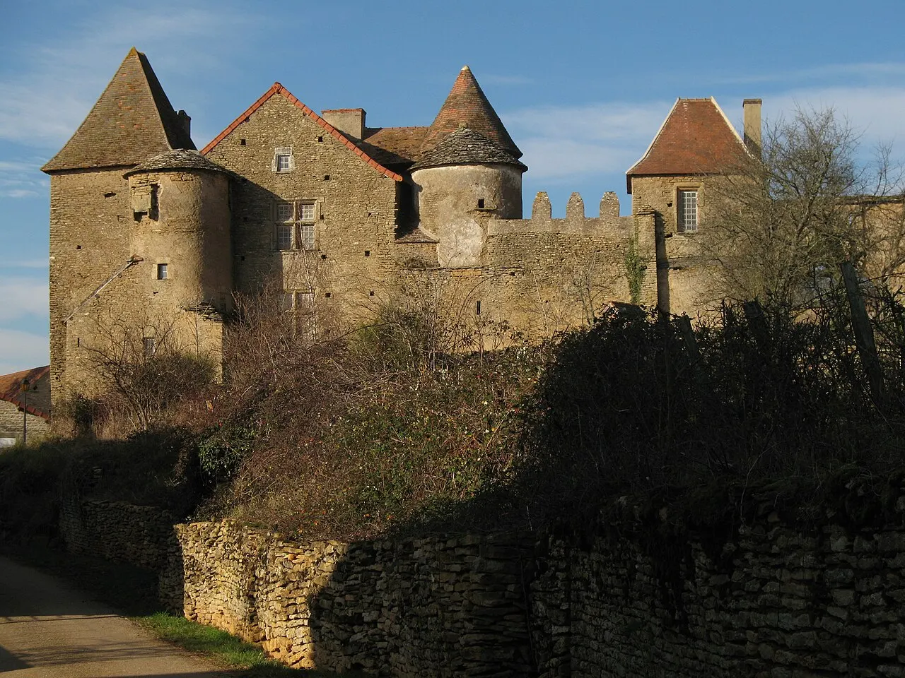 Château Pontus de Tyard