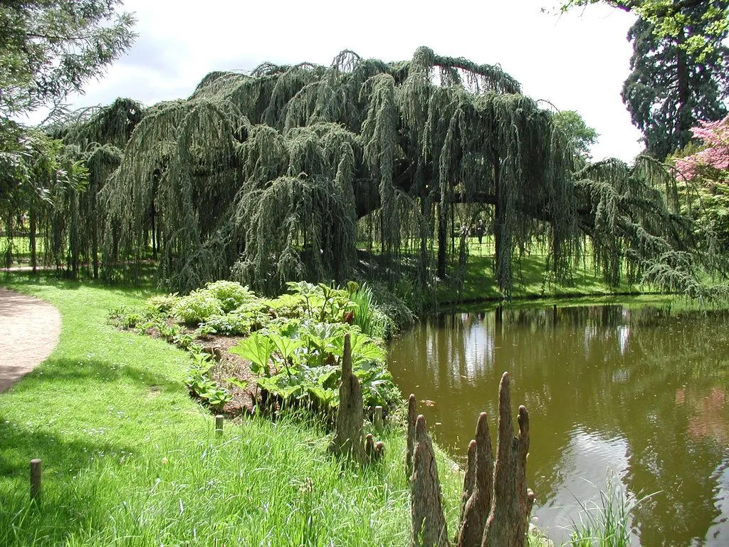 Arboretum du Parc de la Vallée-aux-Loups