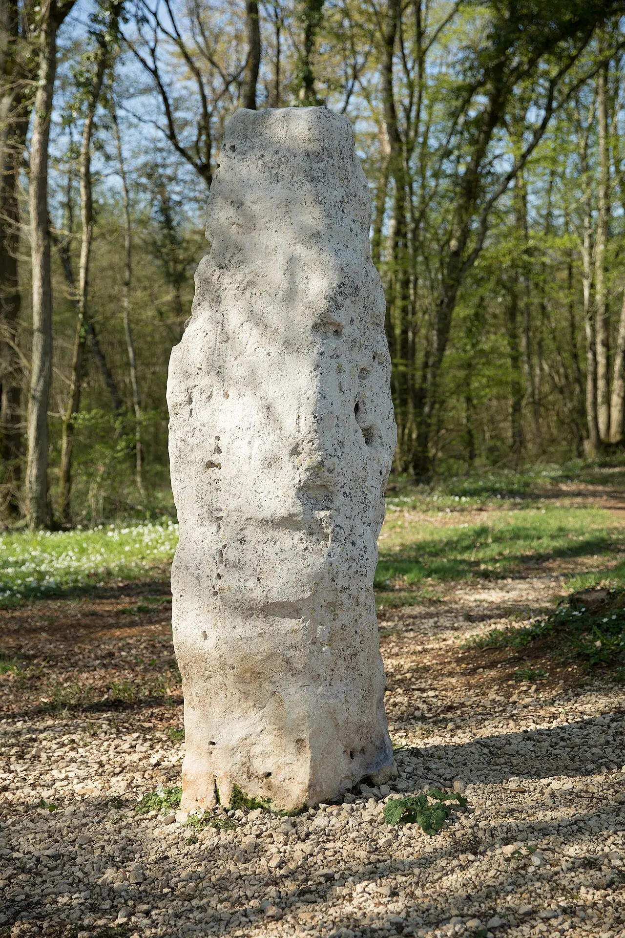 Pierre au Jô