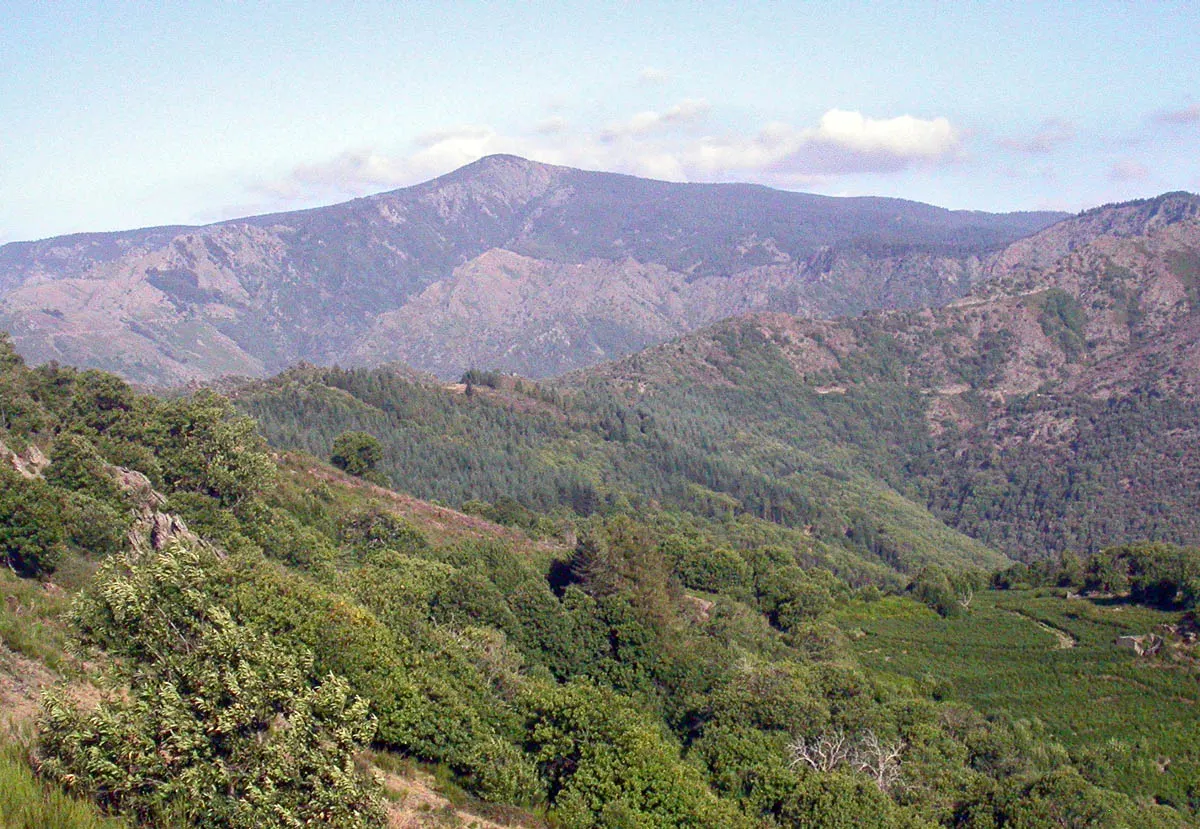 Mont Aigoual