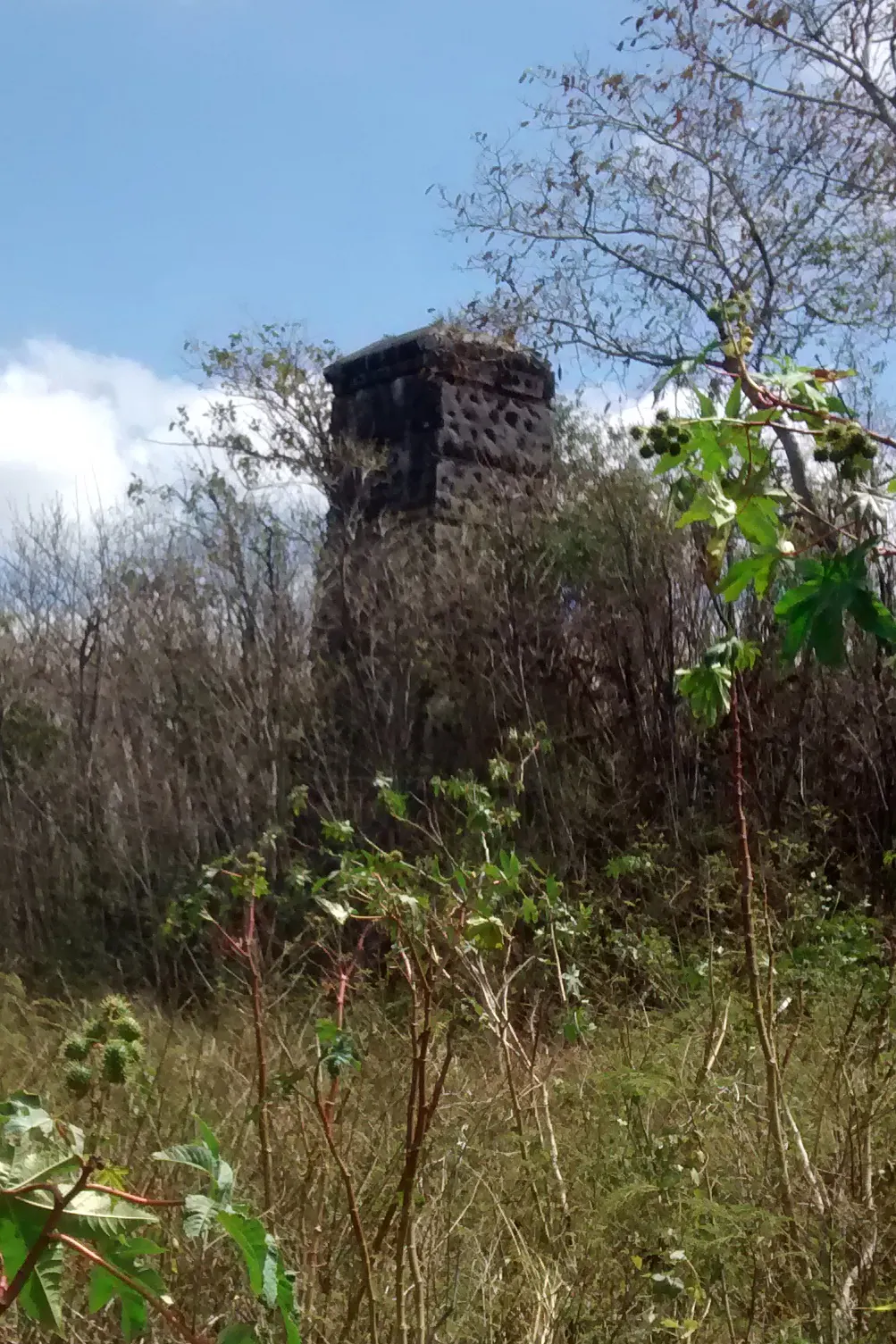 Cheminée dite « Mon Repos 2 »