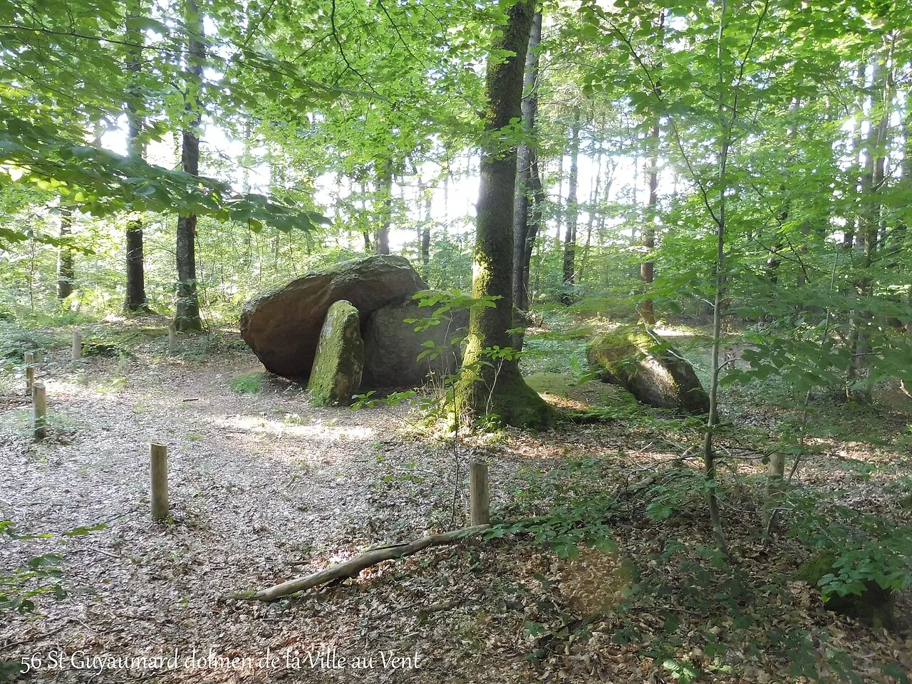 Dolmen de la Forêt de Coëby
