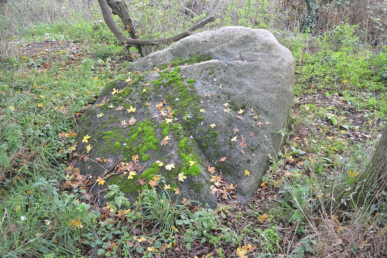 Saint-André-des-Eaux