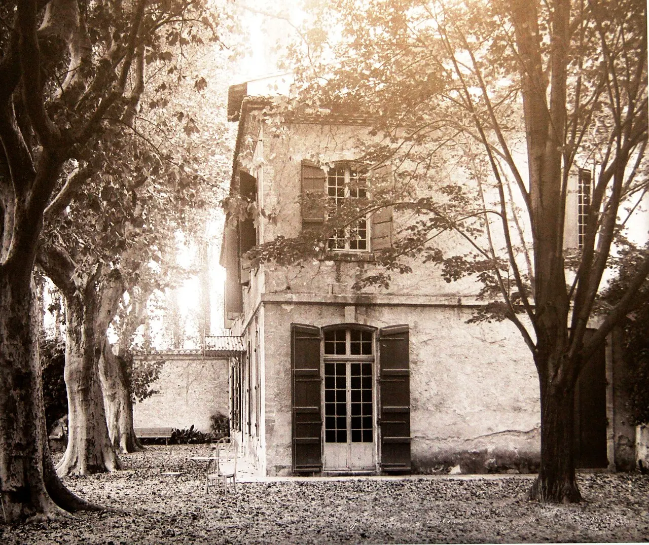 Domaine de la Queyrelle, à Montfavet