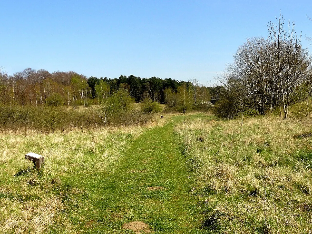 Oppidum gaulois et camp de César
