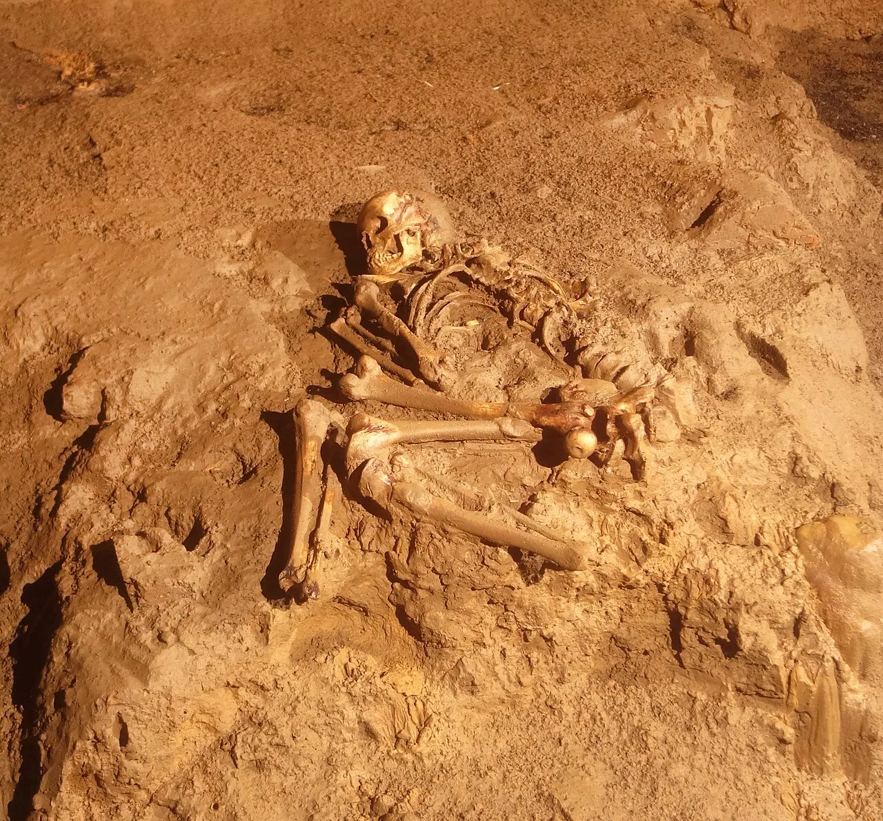Grotte de Foissac
