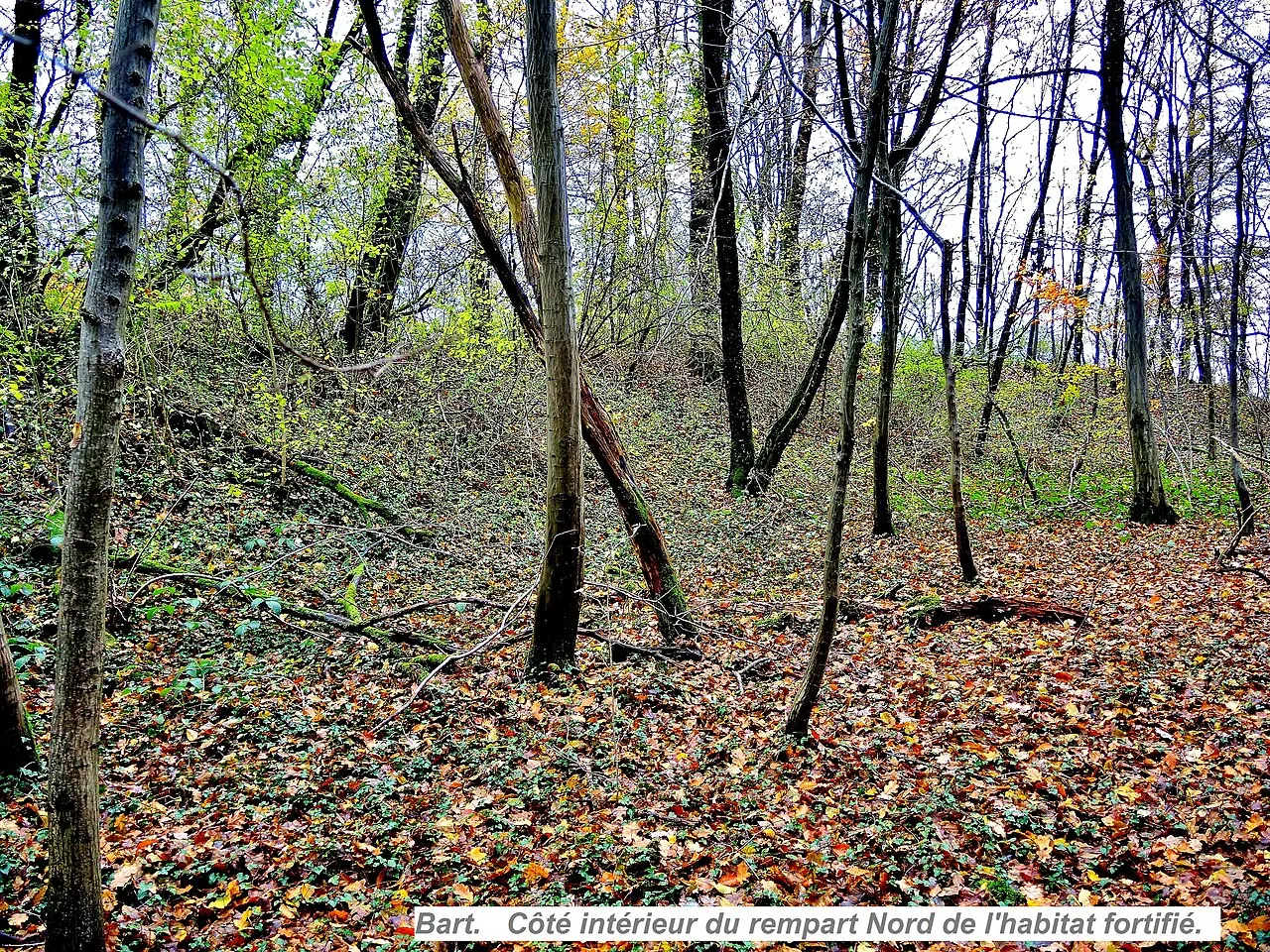 Habitat fortifié