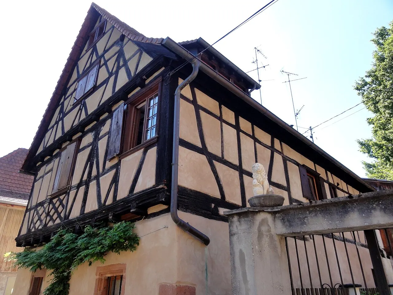Maison