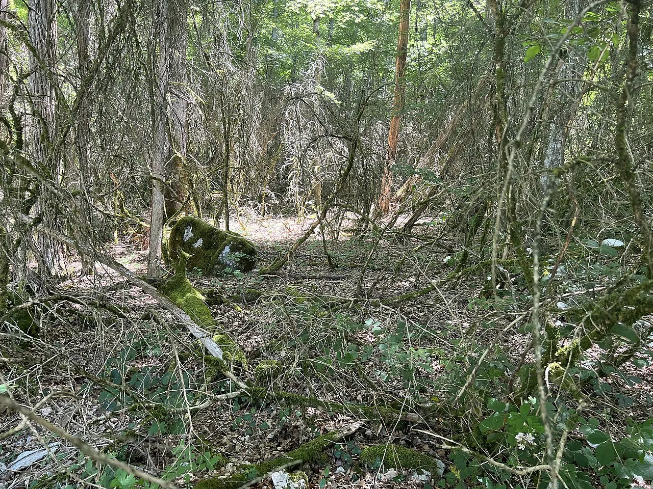 Pierre à bassins