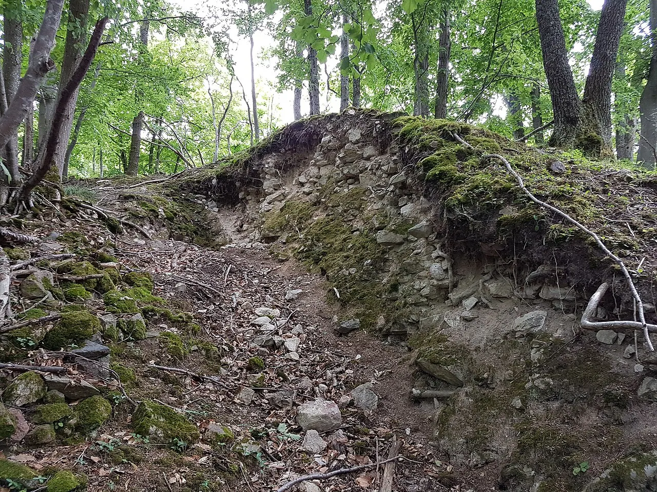 Ruines du Château de Gigersbourg