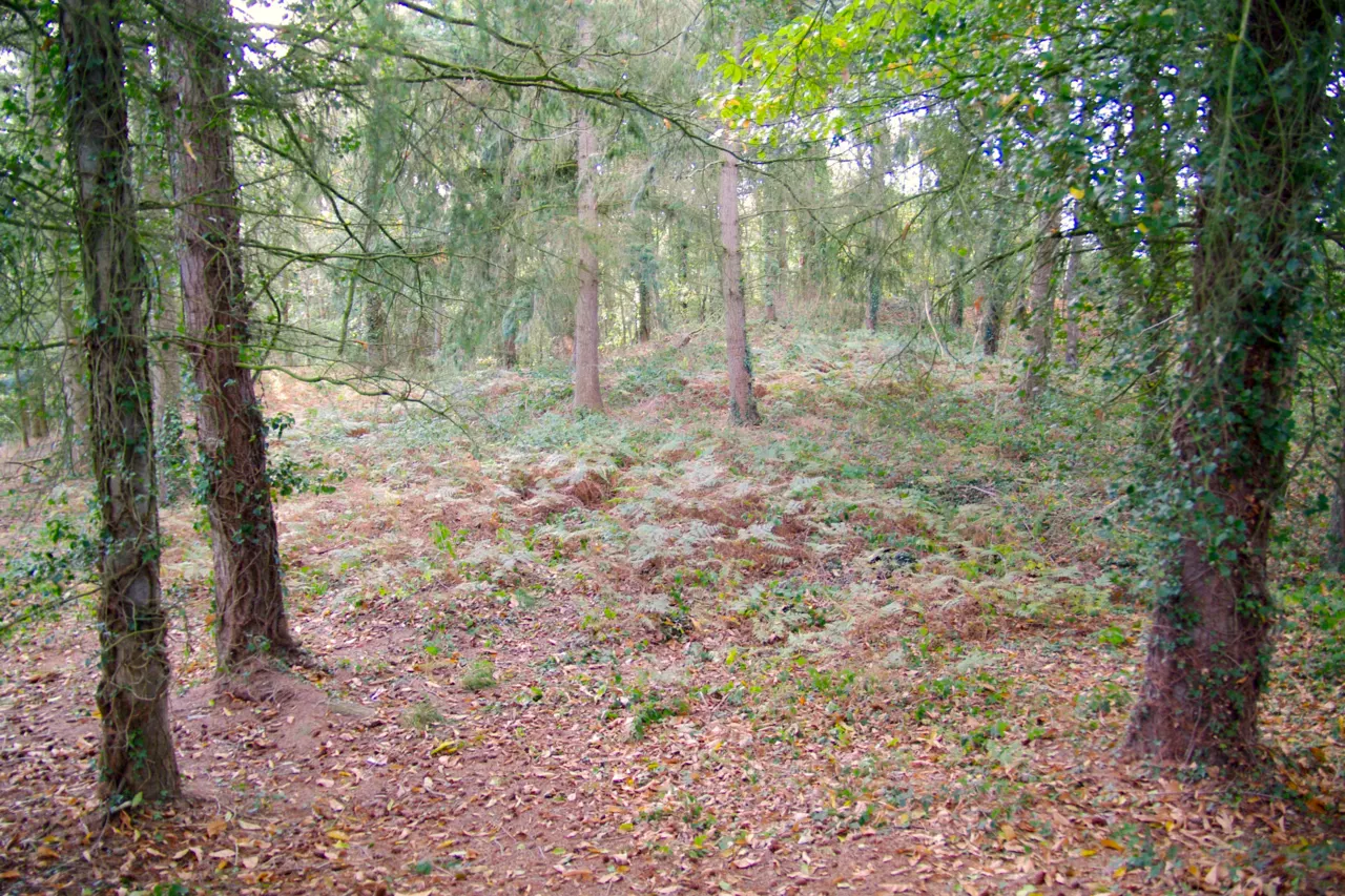 Tumulus dit La Tour Basse