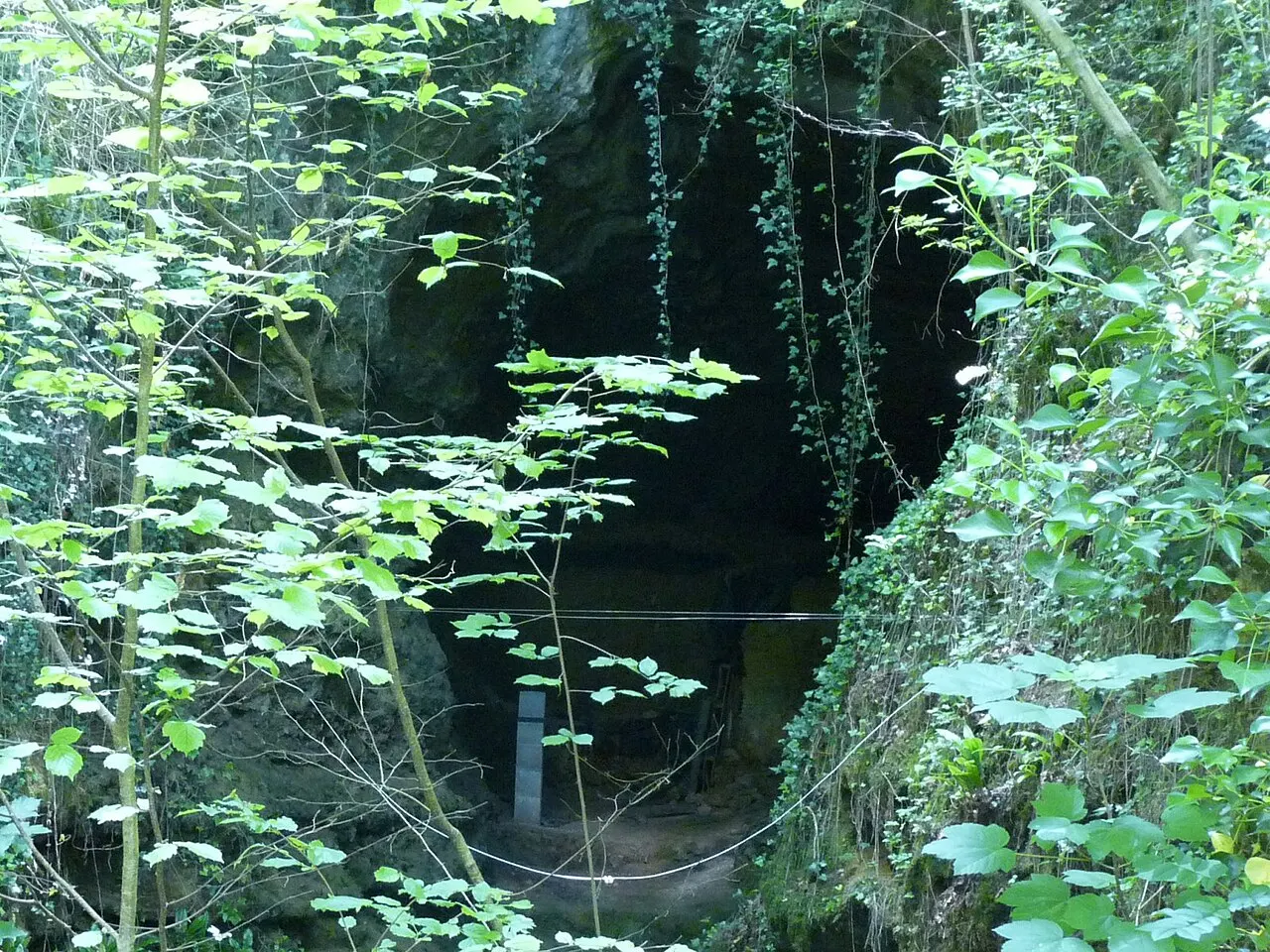 Grotte de Fontechevade