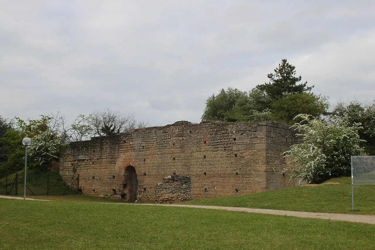 Motte féodale et donjon (restes)