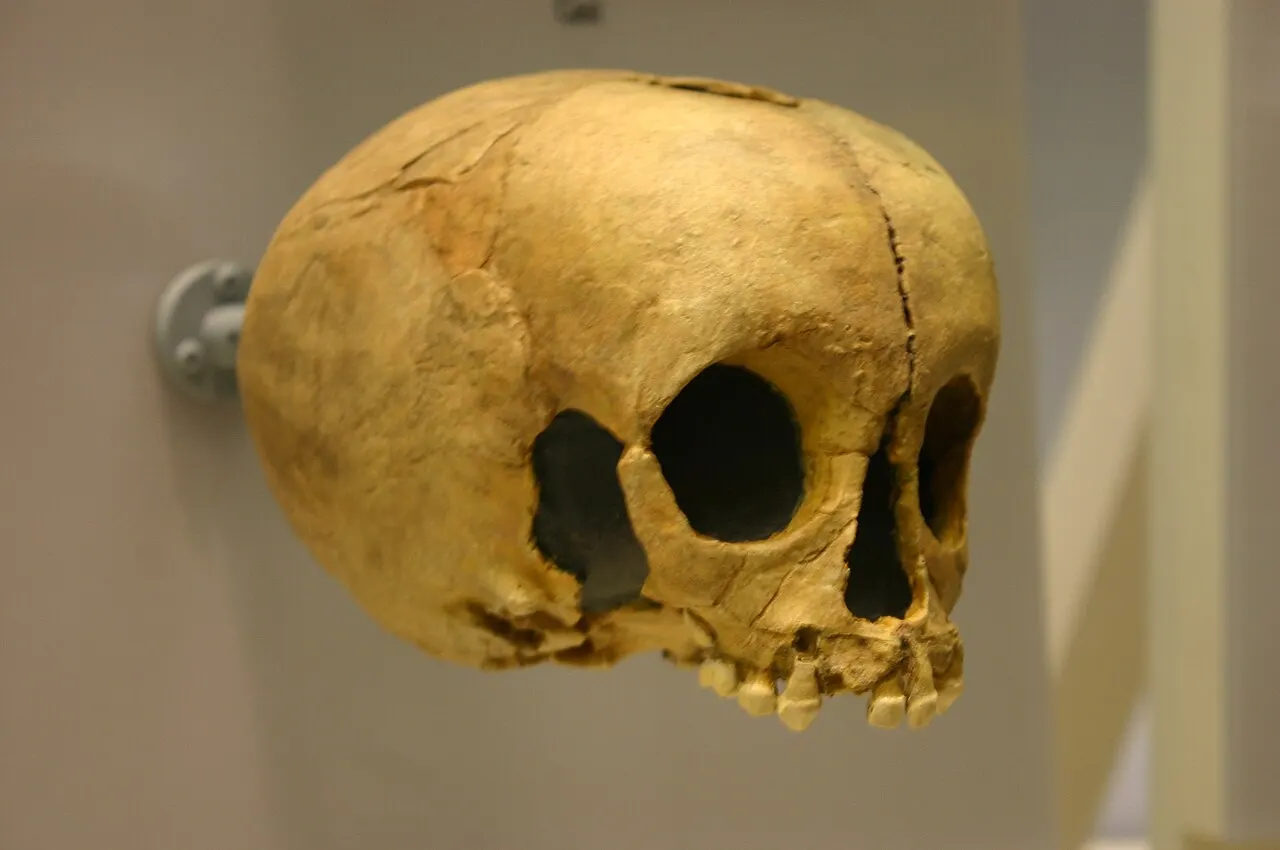 Gisement préhistorique du Pech de l’Azé