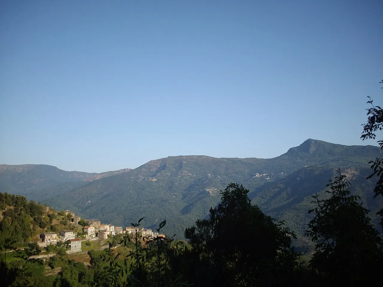 Pruno