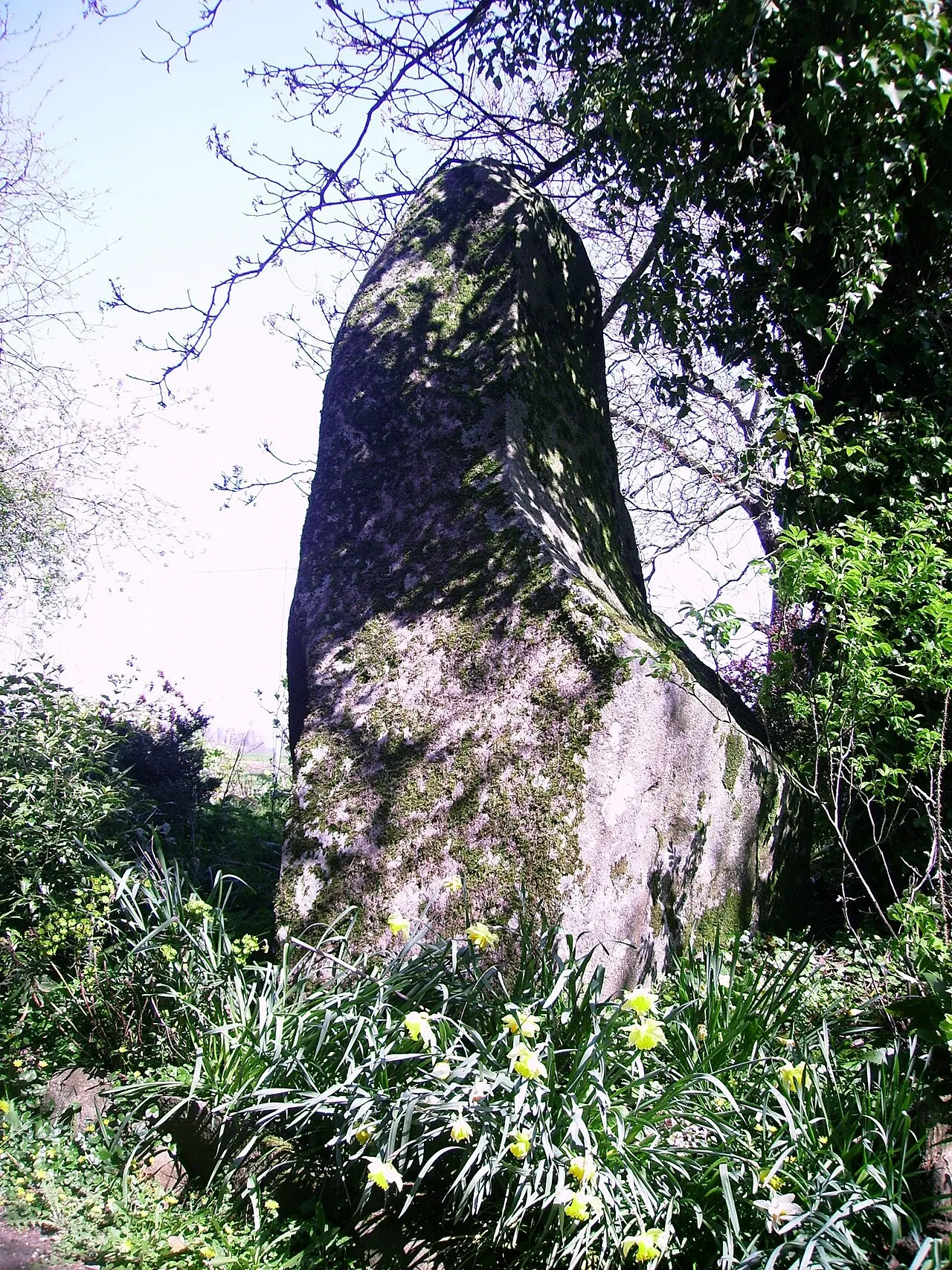 Menhir du Perron