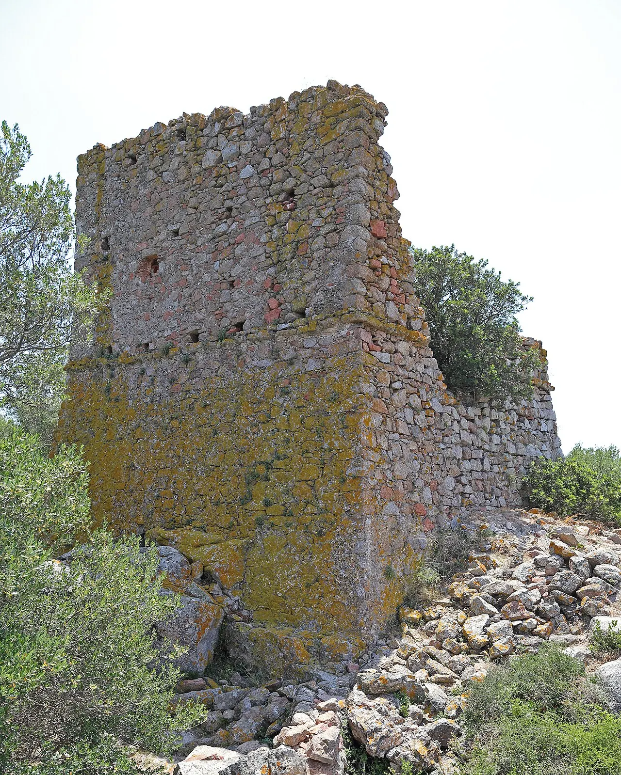 Tour San Cipriano