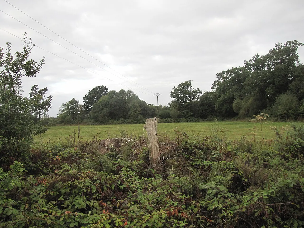 Tumulus