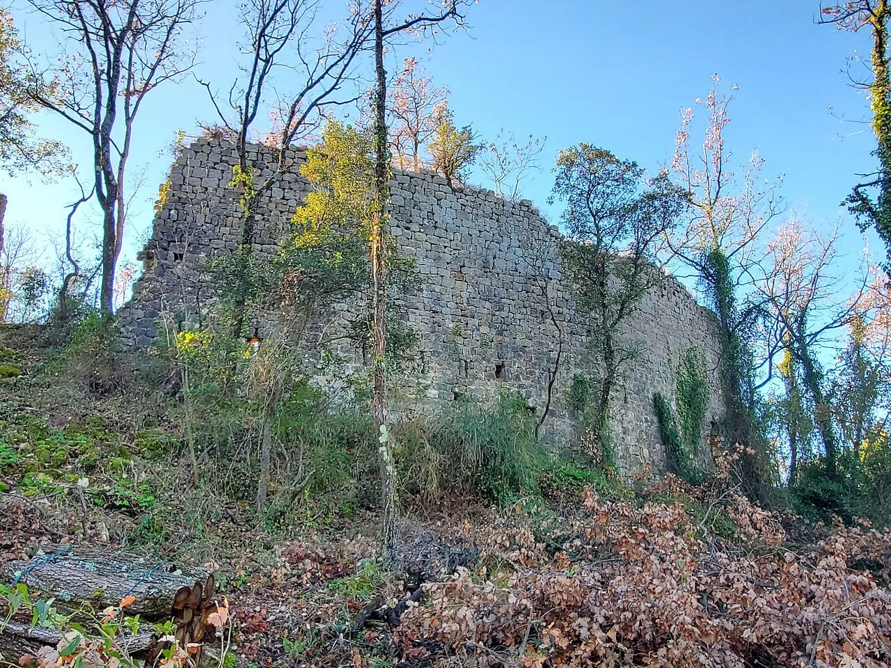 Ruines du Village médiéval de Puybresson