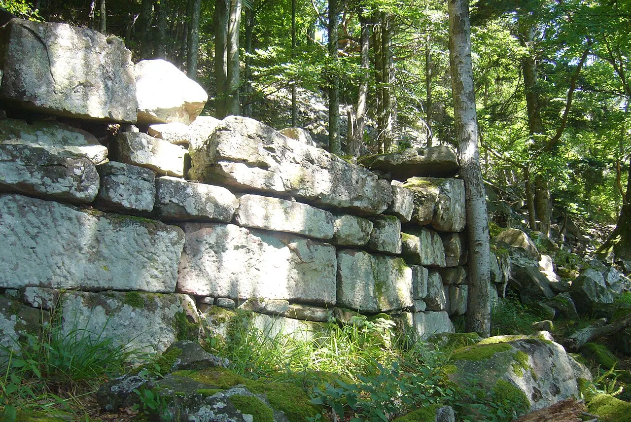 Enceinte protohistorique de la Frankenbourg
