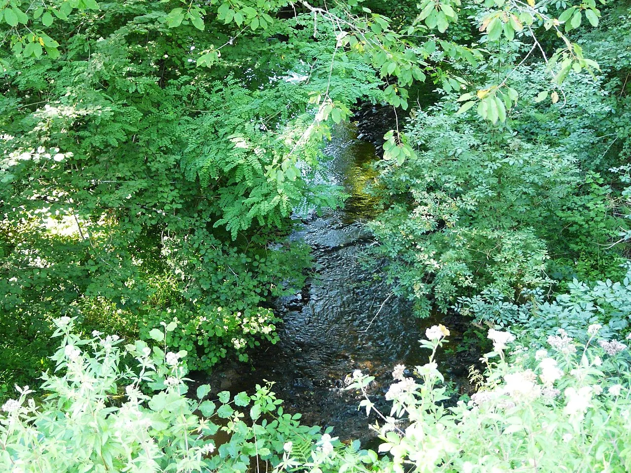 Arborétum des Pouyouleix