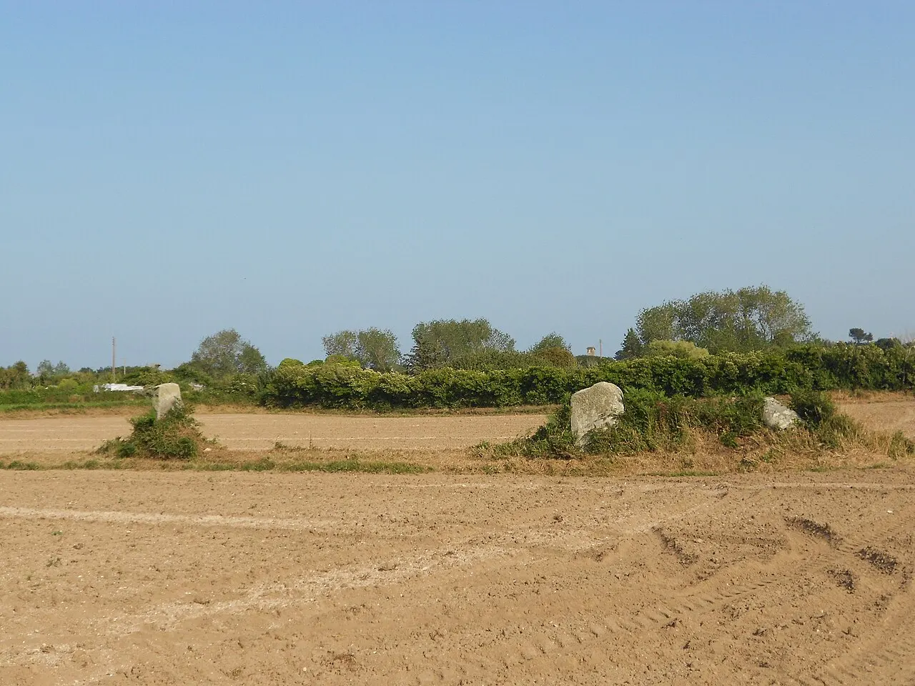 Alignement de menhirs