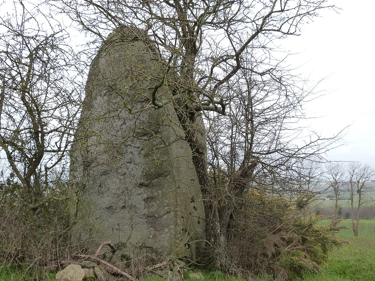 Menhirs de Saint-Mirel (B)
