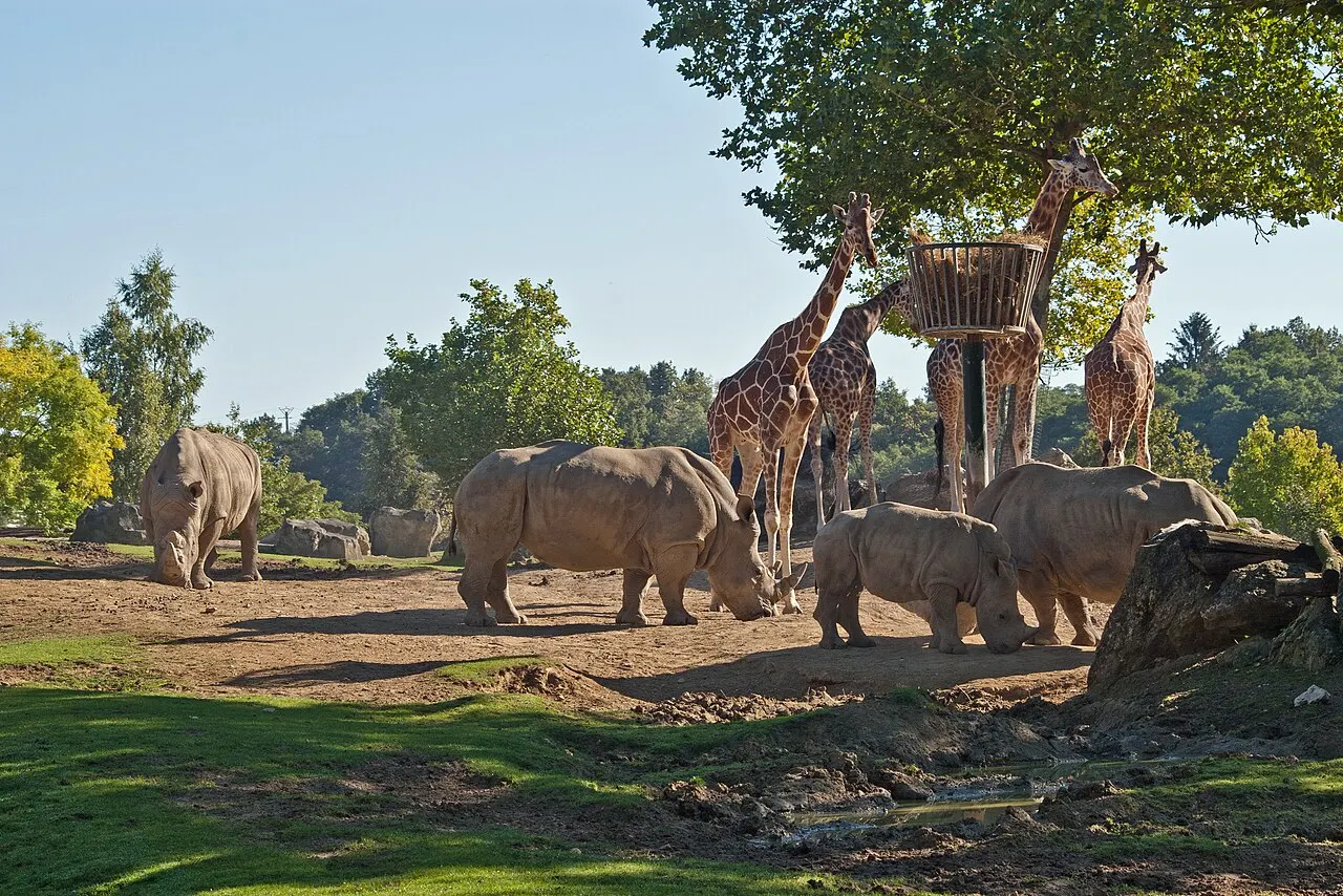 ZooParc de Beauval