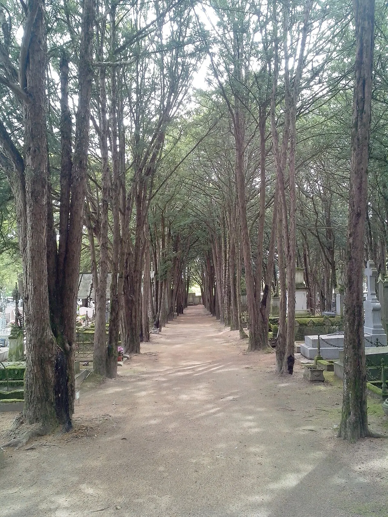 Cimetière