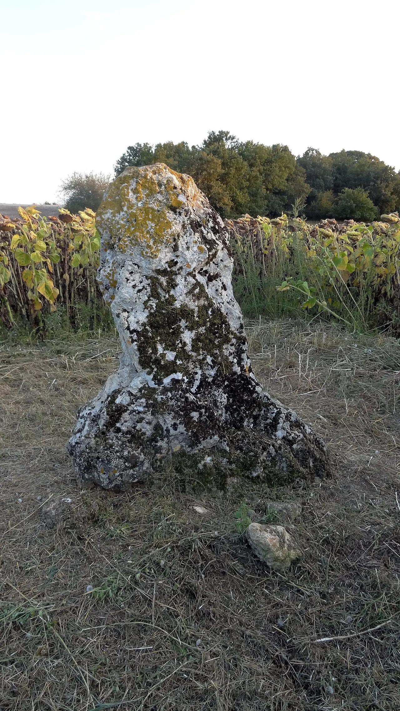 Dolmen