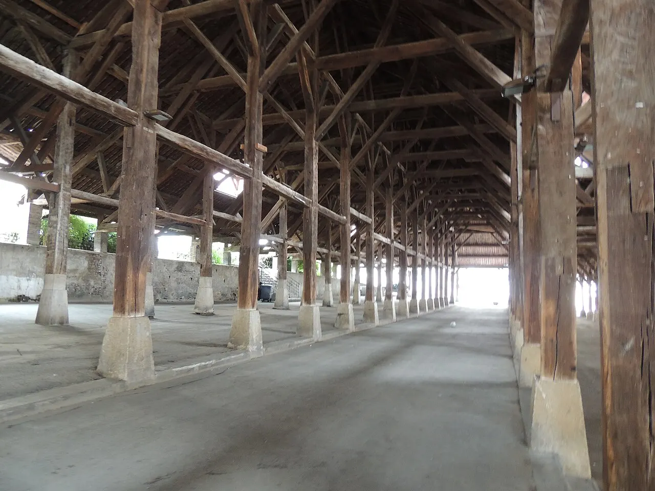 Halle