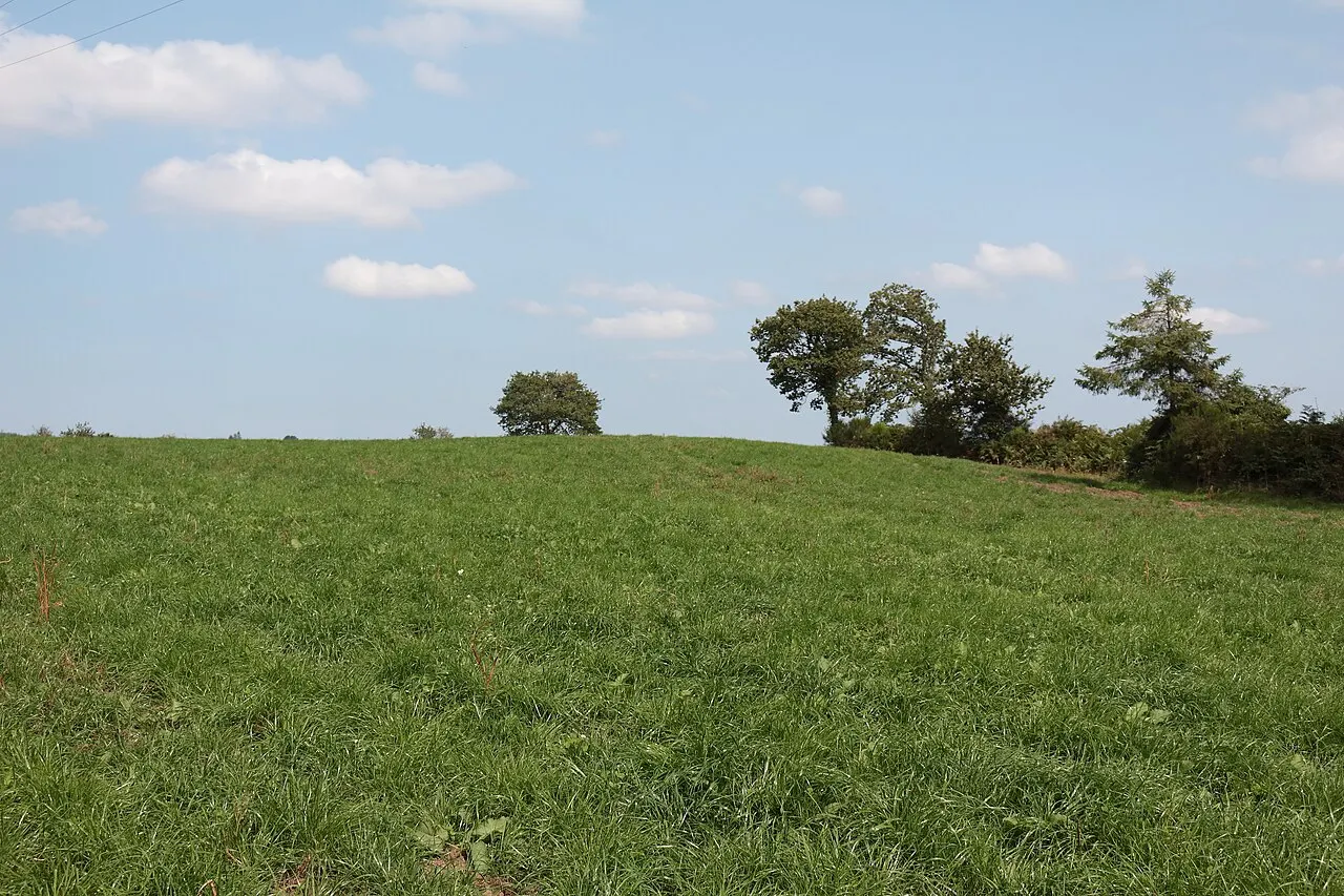 Groupe de tumulus de l’âge du Bronze de Kerelcun
