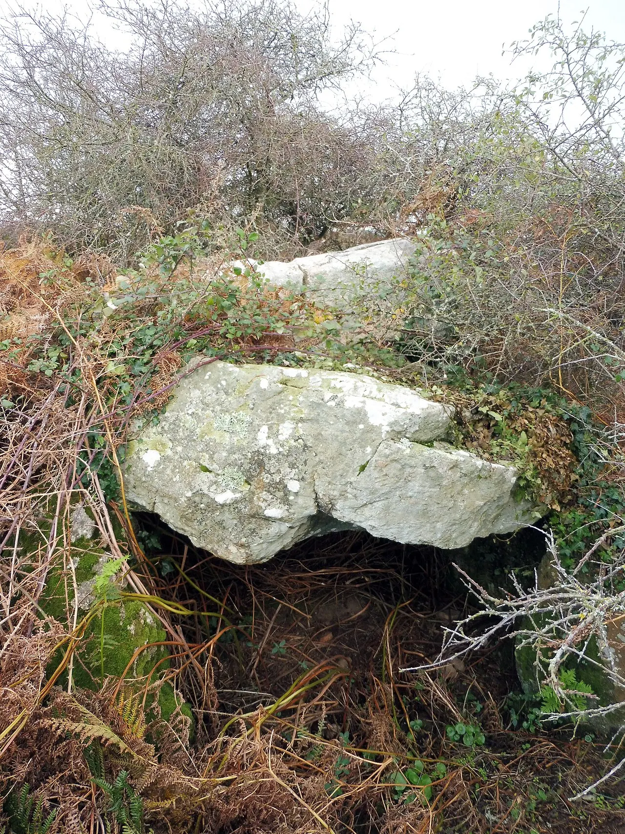 Allée couverte du Net dite Clos-et-Bé